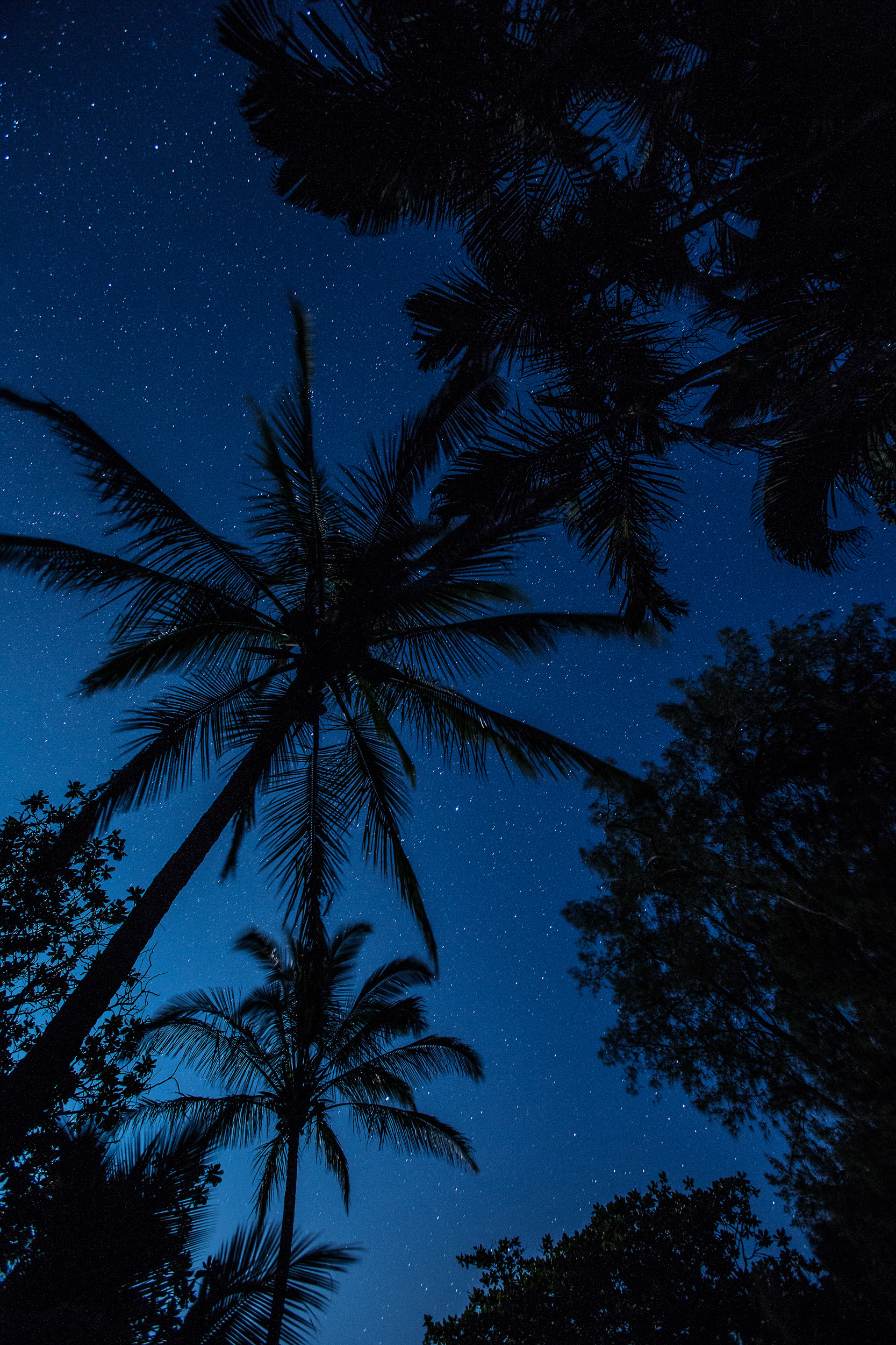 gypset_maui-4984
